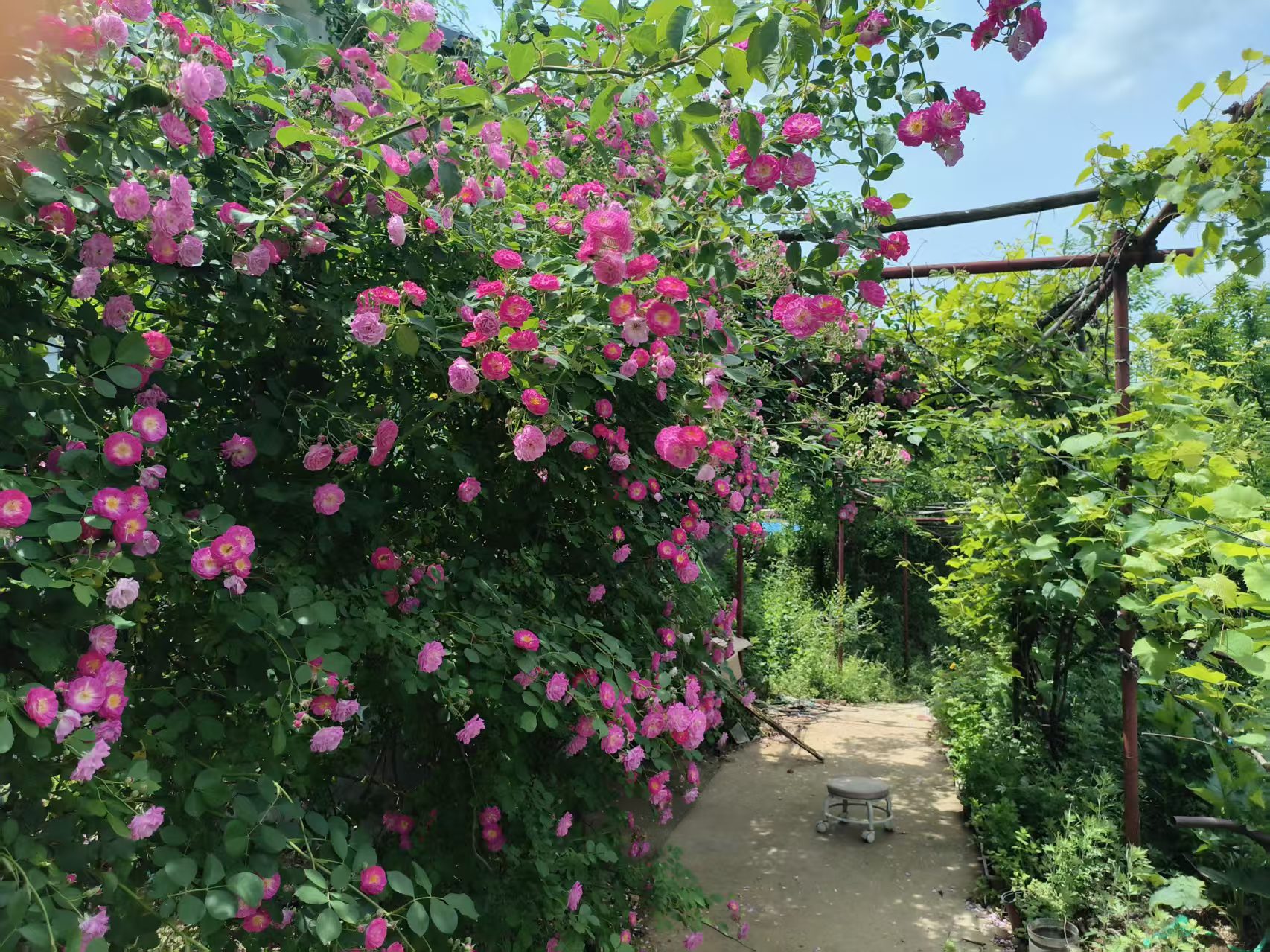 长廊风景